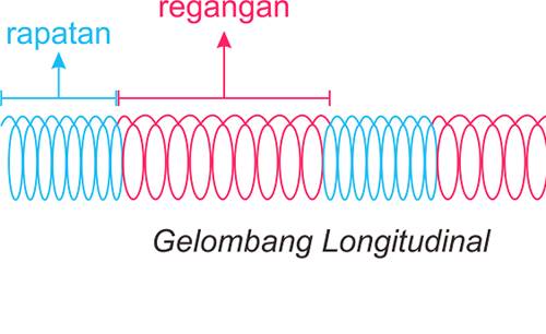 contoh gelombang longitudinal