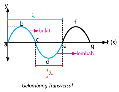 contoh gelombang transversal